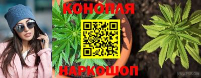 стаф Жуковский
