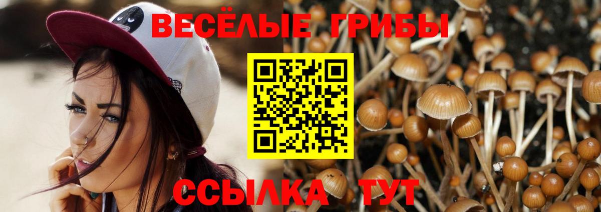 Галлюциногенные грибы прущие грибы  Галлюциногенные грибы GOLDEN TEACHER  Вход с VPN  Ливны 